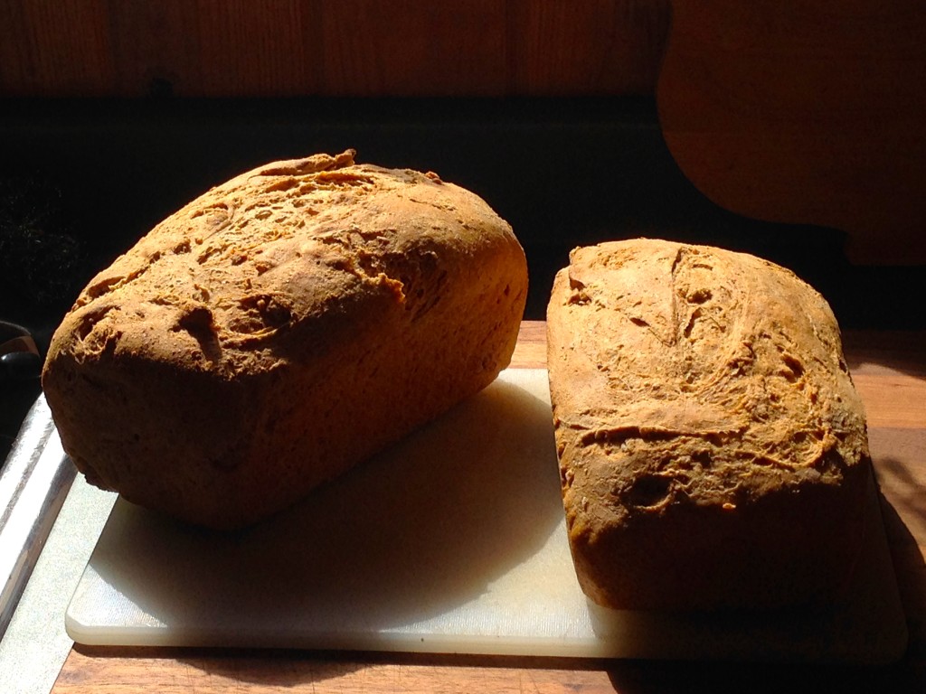 Norwegian Whole Wheat Bread (KNEIPPBRØD)