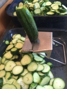 Handy-dandy slicer